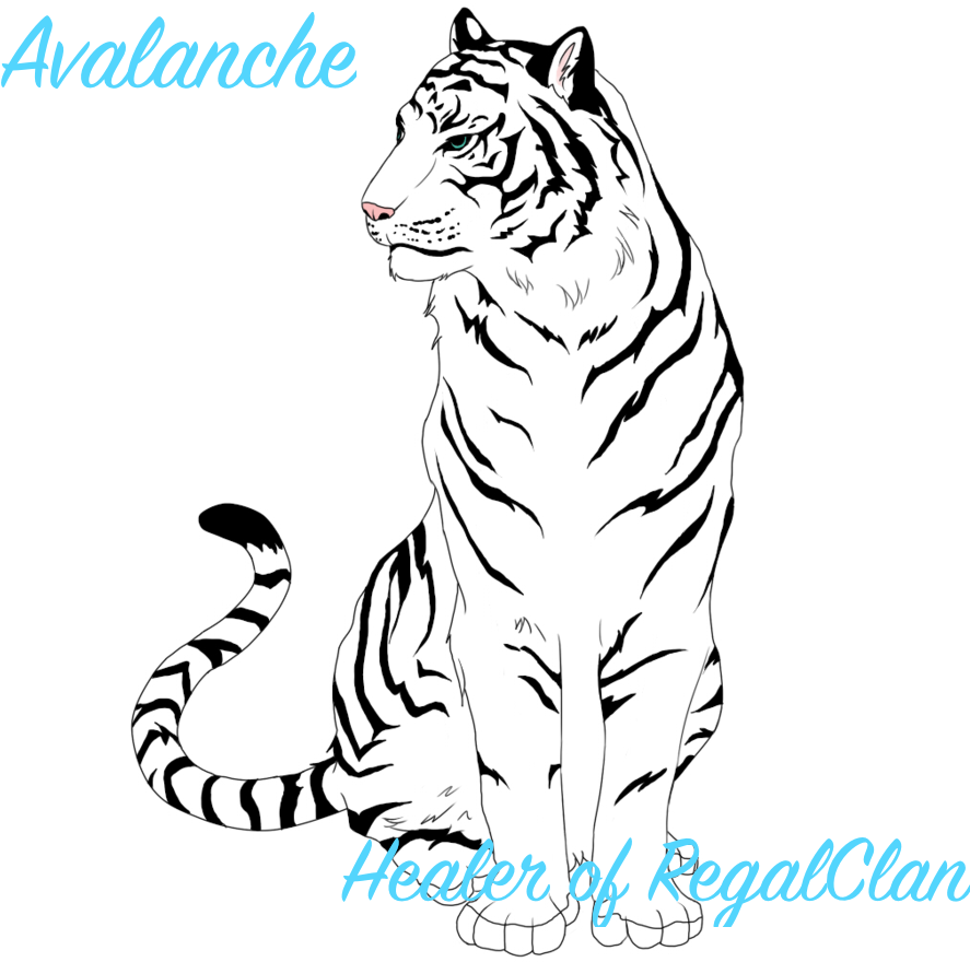 Tiger Eyes Drawing White Tiger By Sundanceandstar D5clv4k - Angry Tiger Face Png (900x900), Png Download