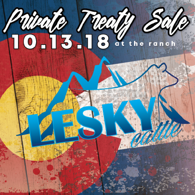 2018 Sale Banner - Poster (400x400), Png Download