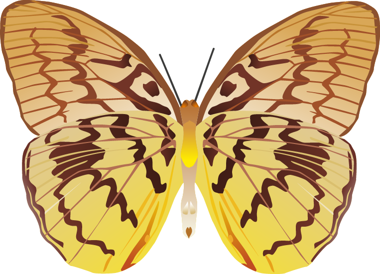 Butterfly Png Images - Flickering Flameless Led Wax Candle (butterfly Design, (763x550), Png Download