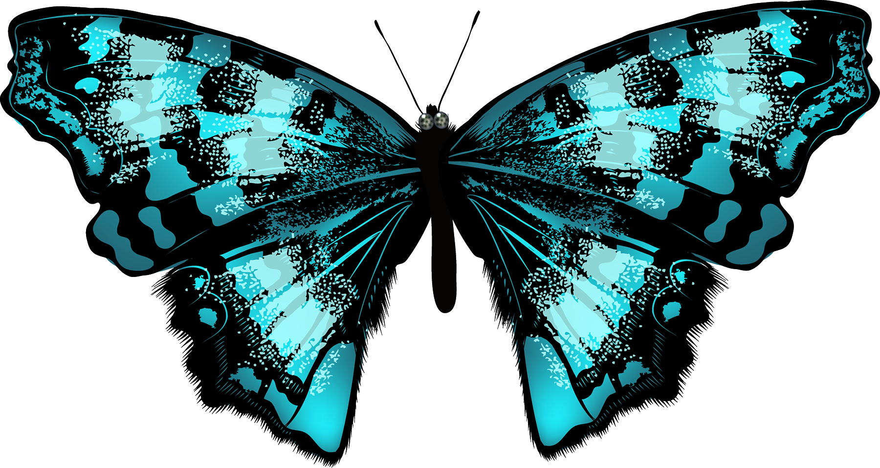 Butterfly Net Clipart - Яркие Бабочки Png (1800x958), Png Download