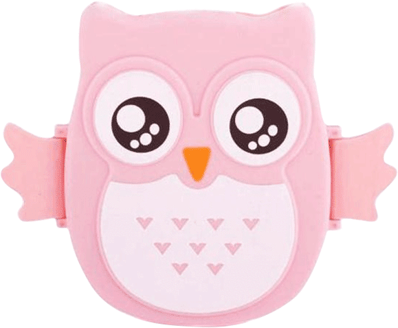 Petite Bello Lunch Box Pink Owl Lunch Box - Lunchbox (600x600), Png Download