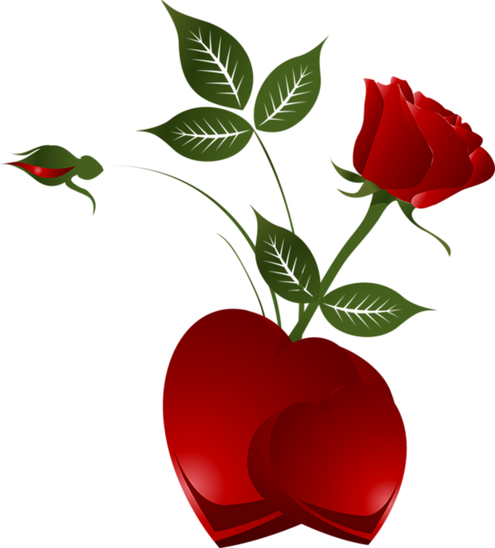 Transparent Rose Heart Png Clipart Picture - Red Rose And Hearts (542x600), Png Download