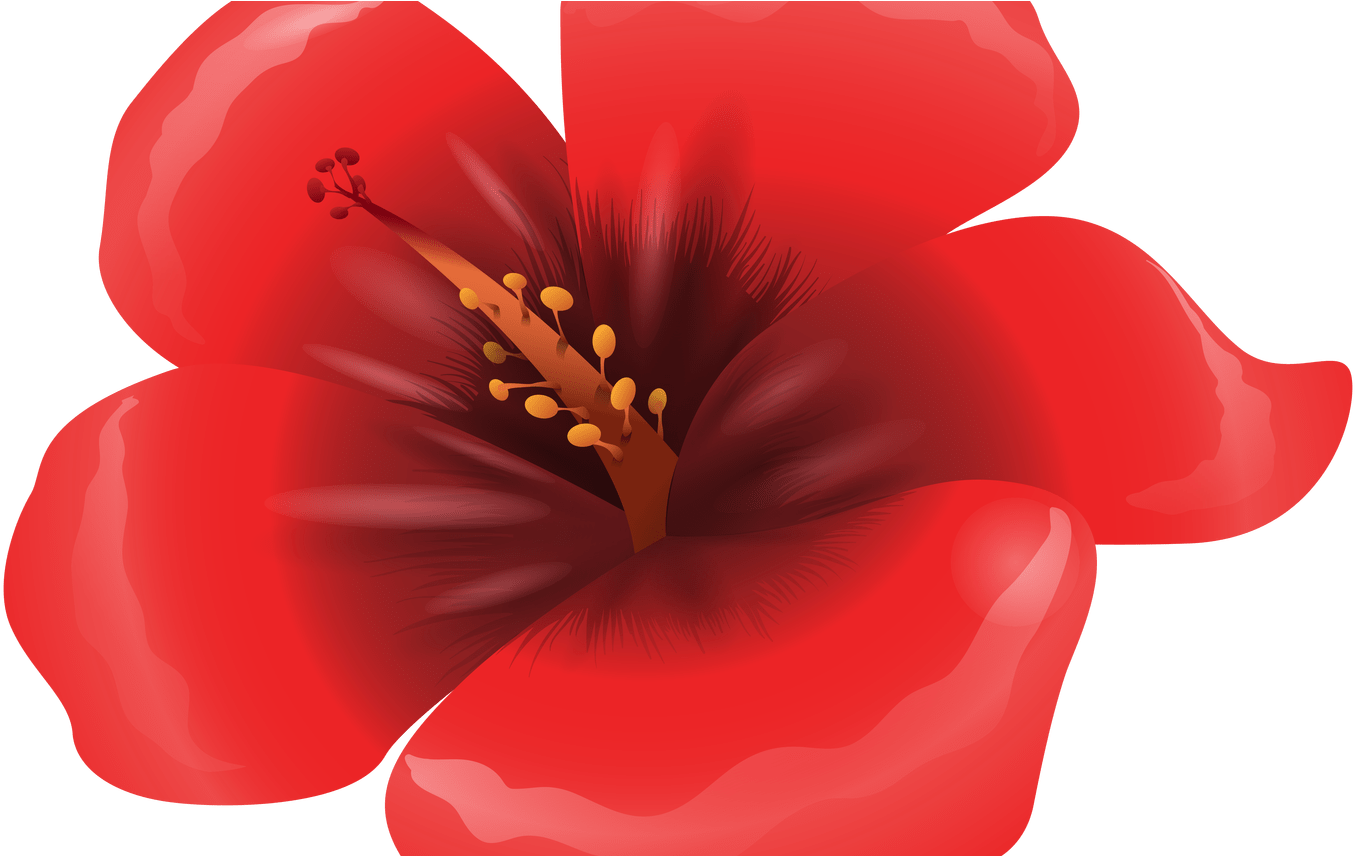 Large Red Flower Clipart Png Image Gallery Yopriceville - Clip Art Red Flower (1368x855), Png Download