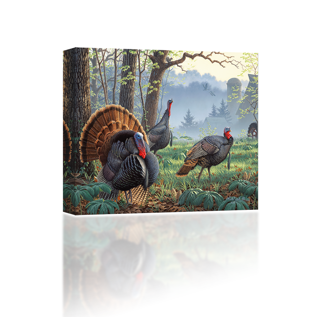 Wild Turkeys - Wild Turkey Paintings (1024x1024), Png Download