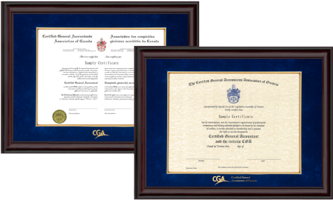 2x Cga Ontario Frames - Ontario (478x288), Png Download
