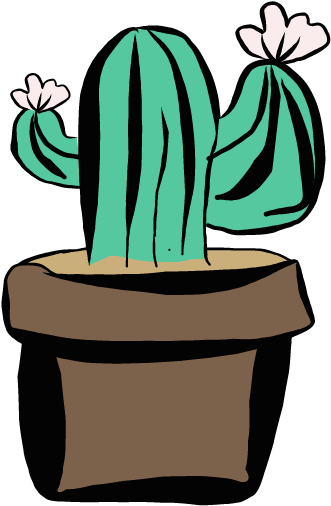 Hedgehog Cactus (528x528), Png Download