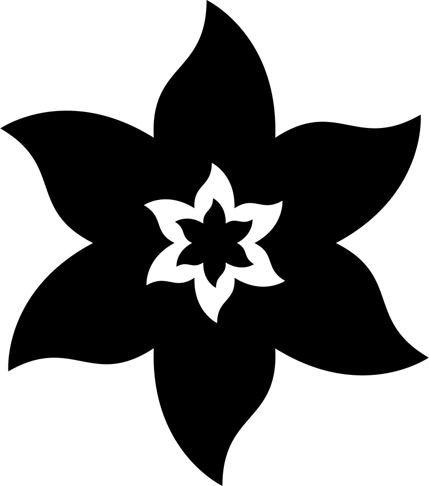 Star-shaped Flower Comments - Flor Forma De Estrella (866x980), Png Download