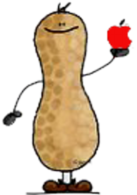 Kevin Owens - Turtle Nut Tile Coaster (400x400), Png Download