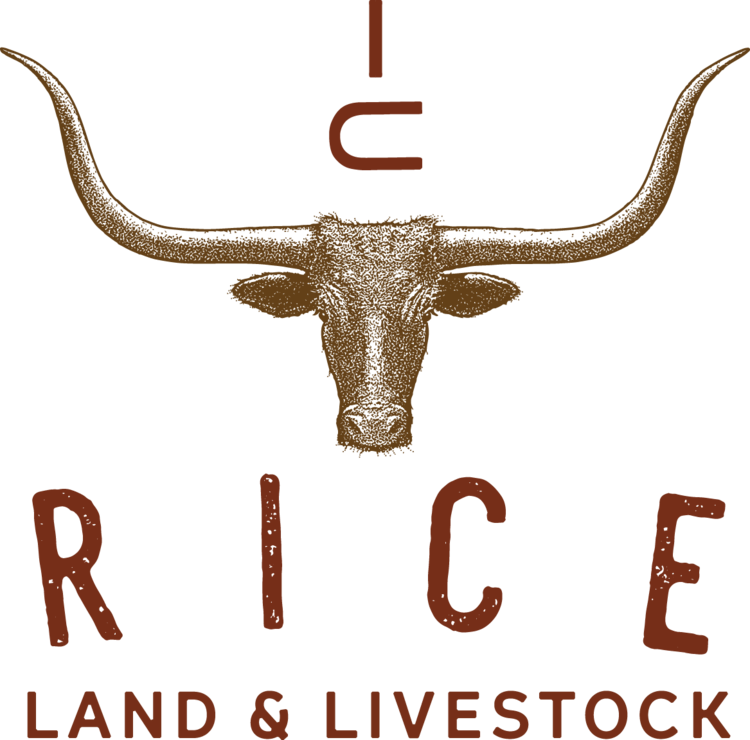 Donkey Png Images Free Download - Riceland Foods (750x740), Png Download