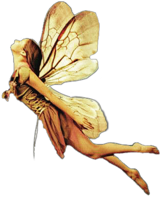 Report Abuse - Fairy (324x396), Png Download