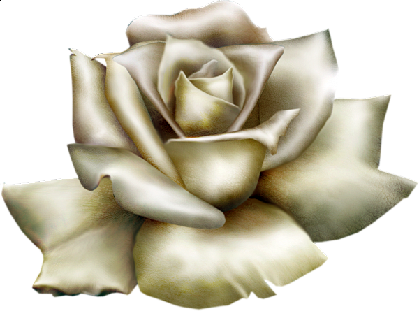 Flower Polyvore Crown Garland Wreath - White Rose Clip Art (600x445), Png Download