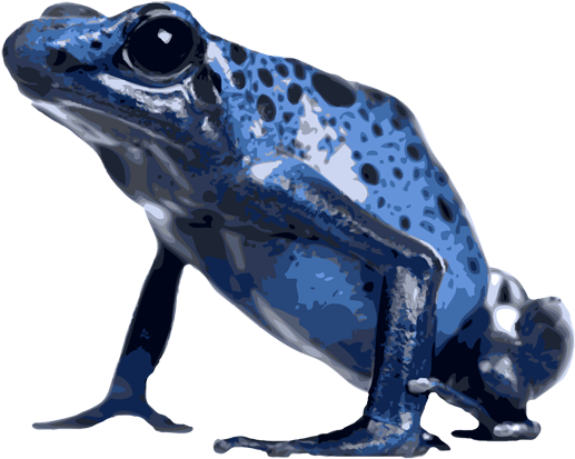 Png Royalty Free Library Poison Dart Clipground - Poison Dart Frog Png (600x467), Png Download