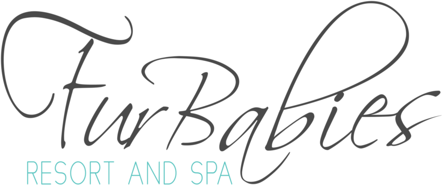 Static Png (1000x529), Png Download