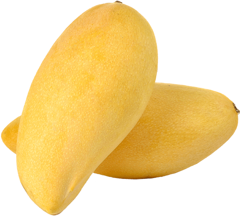 Thai Exporter Manufacturer And Supplier Namdokmai - Namdokmai Mango (600x600), Png Download