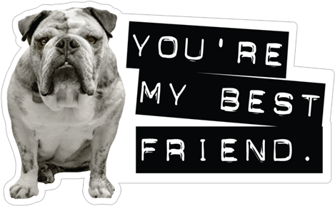 Husband Transparent Png Sticker - Marianne Design Clear Stamp - True Friends Cs0900 (490x317), Png Download