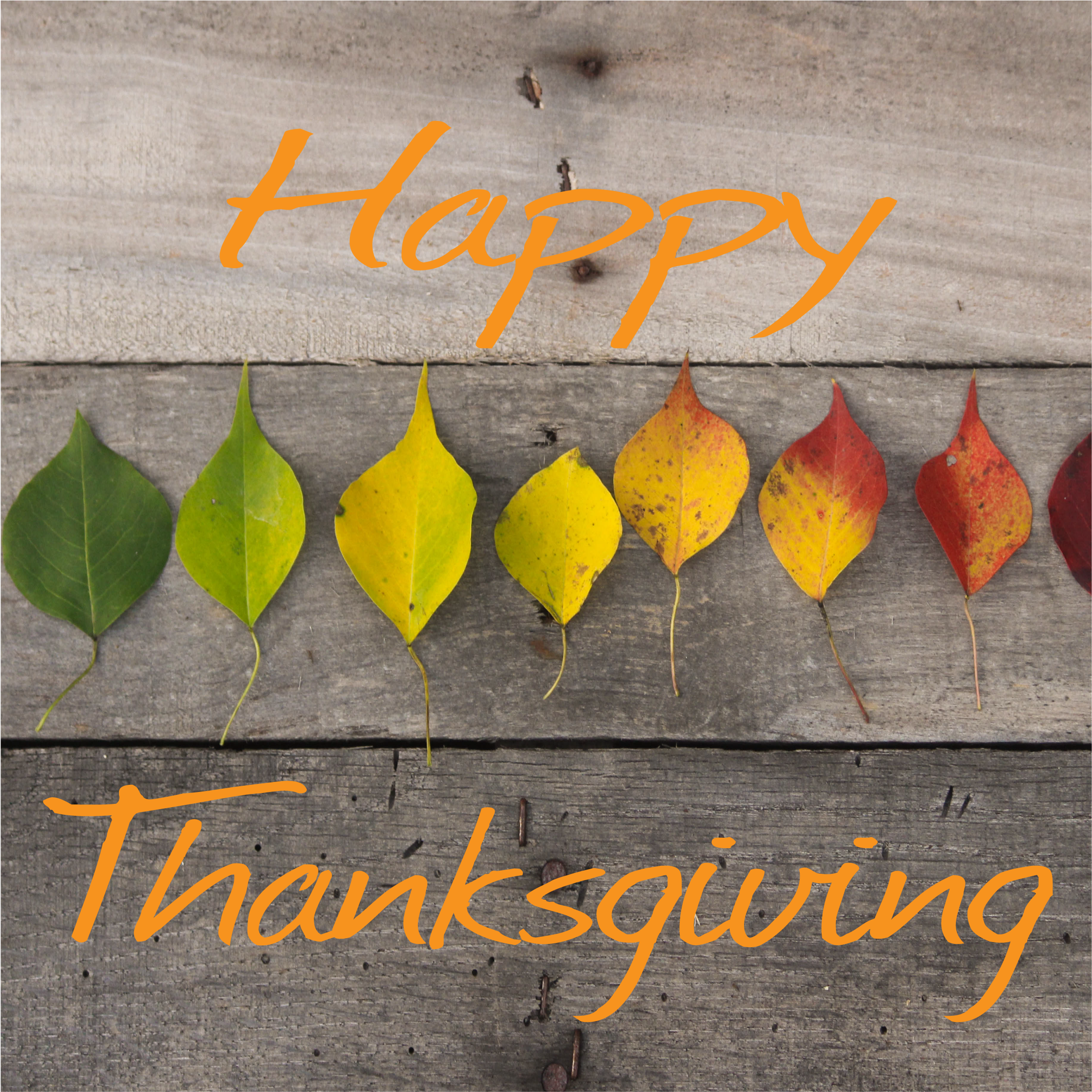 Happy Thanksgiving - Technology (3179x2292), Png Download