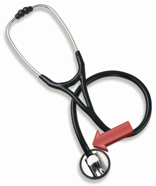 Stethoscope - Stethoscope Indiamart (330x381), Png Download
