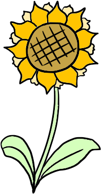 Sunflower - Common Sunflower (350x400), Png Download