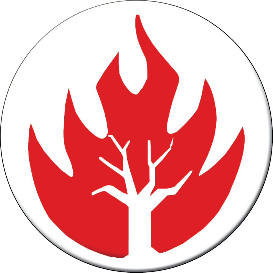 Fire (905x905), Png Download