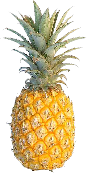 Pineapple Png Photo - Pineapple Png (422x760), Png Download