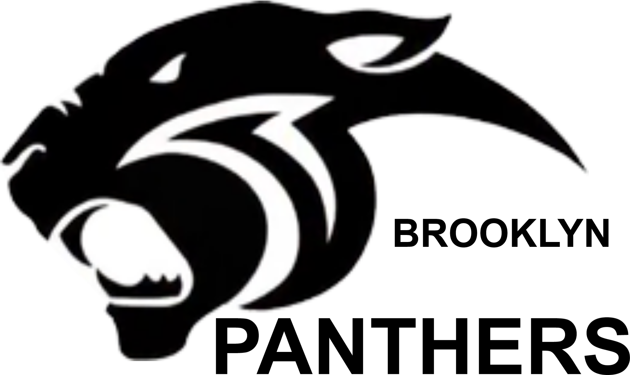 Brooklyn Panthers - Illustration (2186x1696), Png Download