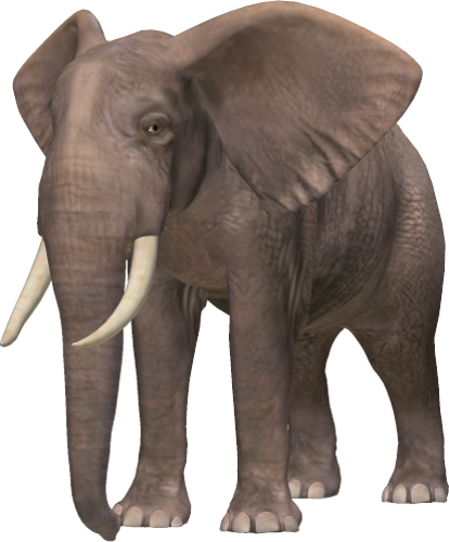 Download - Elephene Png (414x500), Png Download