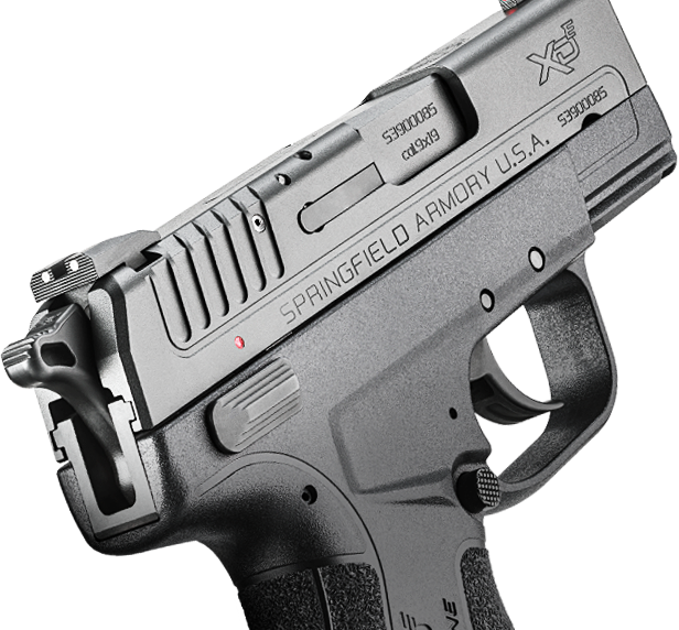 Springfield Armory What The Hell Are You Thinking - New Springfield Xde (616x572), Png Download