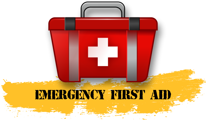 First-aid - Standard First Aid Course (688x417), Png Download