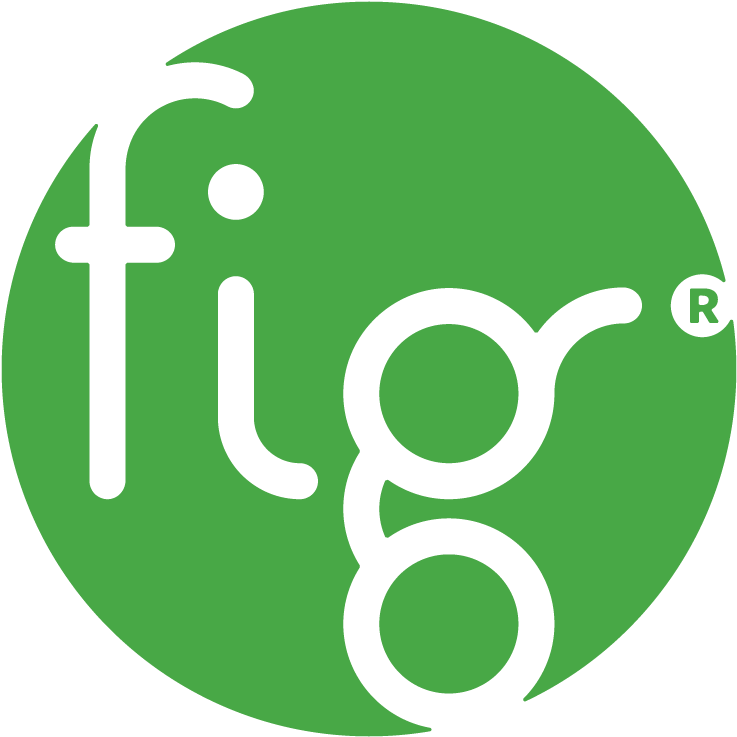 Figlancaster - Fig (806x806), Png Download