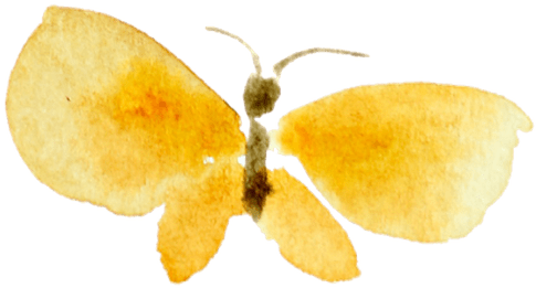 Watercolor Butterfly Clipart Clipartxtras - Watercolor Painting (800x491), Png Download