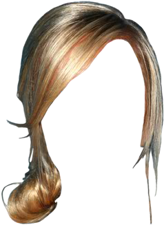 Summer Rae Long Straight Formal Updo Hairstyle With - Sketch (521x625), Png Download