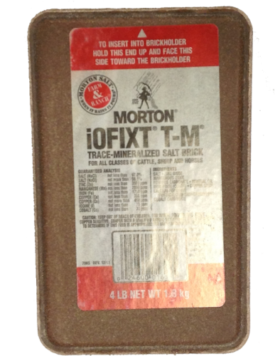 Morton Trace Mineral Salt Brick 4 Lbs - Morton Plain Salt 4 Lb. Brick (500x500), Png Download
