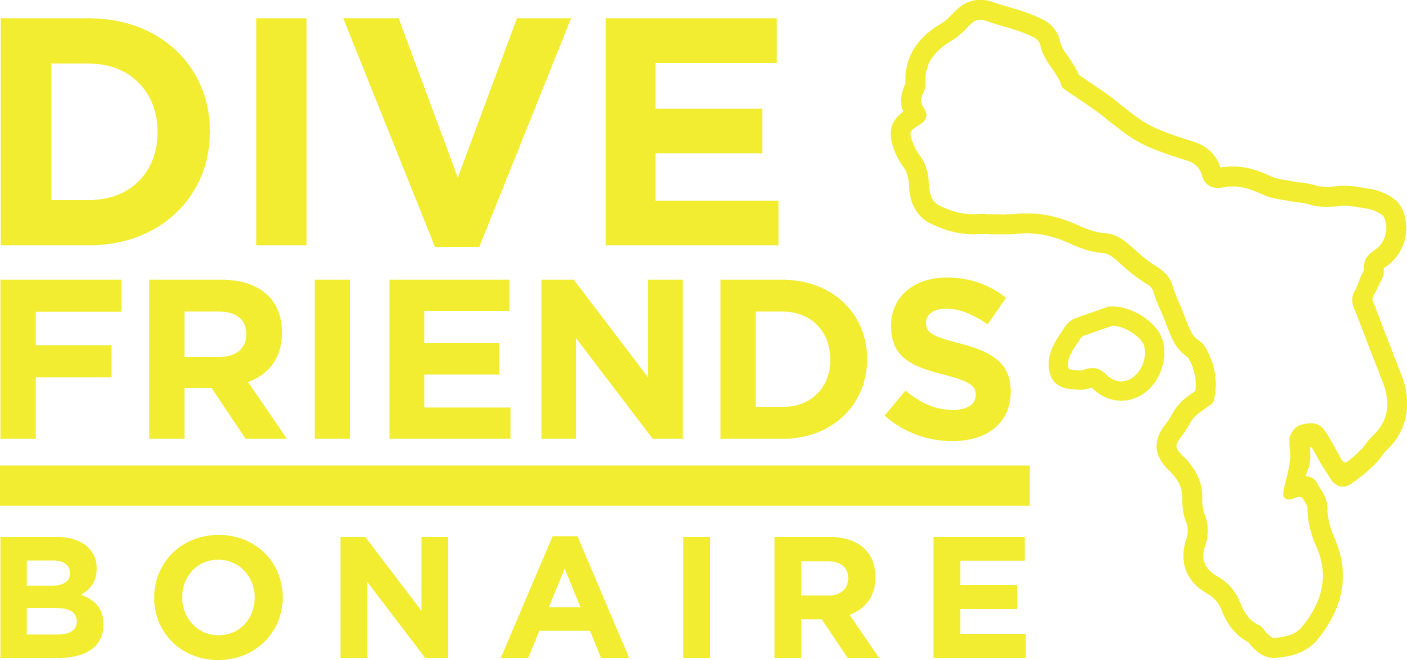 Dive Friends Bonaire @ Delfins Beach (1407x660), Png Download