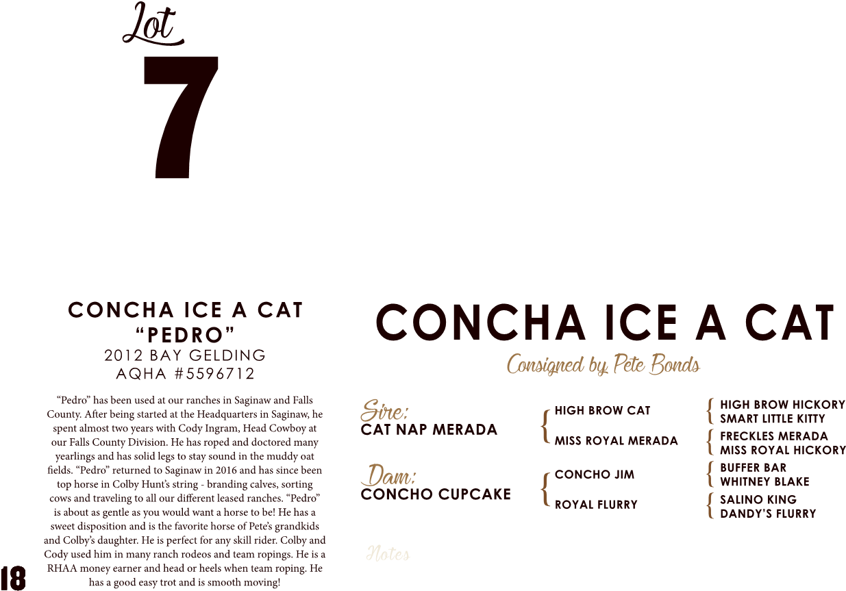 Page0020 1 - Soldaat Van Oranje Musical (1350x1043), Png Download