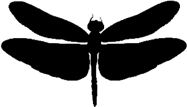 Dragonflies - Illustration (425x425), Png Download