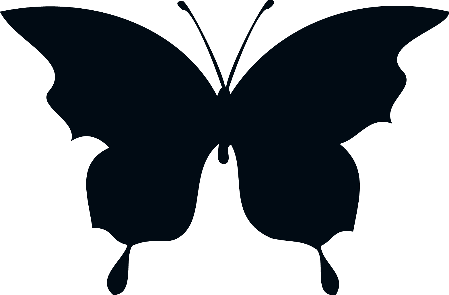 Dragonfly Silhouette Png - Silhouettes Of Butterflies (1565x1027), Png Download