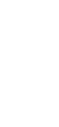 A (252x539), Png Download