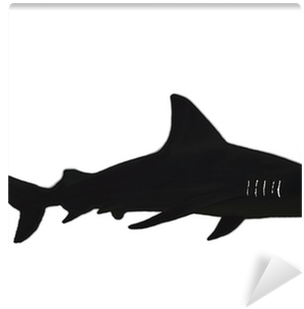 Shark (400x400), Png Download