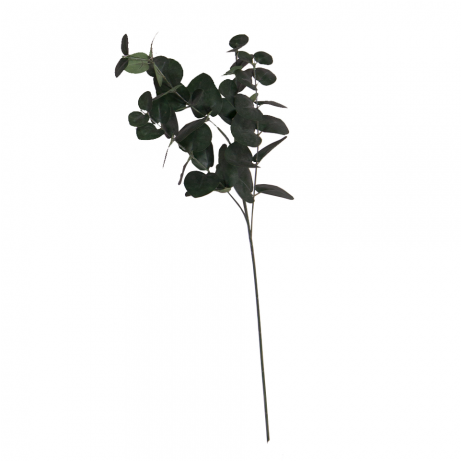 Eucalyptus - Silhouette (920x460), Png Download