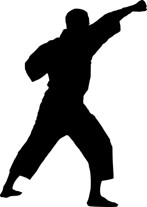 Free Png Karate Silhouette Png Images Transparent - Karate Silhouette Transparent (480x674), Png Download