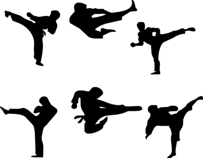 Martial Arts Program - Mixed Martial Arts Clip Art (714x557), Png Download