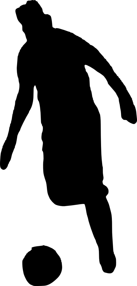 Free Png Football Player Silhouette Png Images Transparent - Silhouette (480x998), Png Download