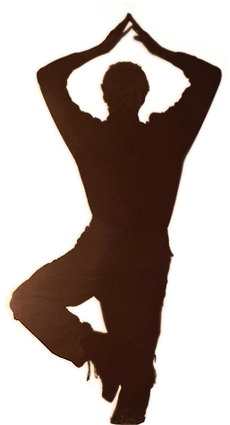Naples's Premiere Tai Chi Training Center - Florida (348x480), Png Download