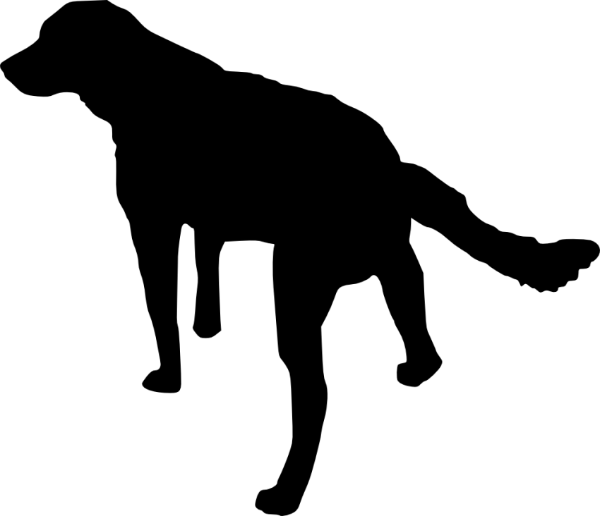 Free Png Dog Silhouette Png Images Transparent - Hunting Silhouette Transparent Background (850x732), Png Download