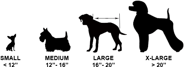 Dog Sizes - Jds Personalized Gifts Personalized Schnauzer Classic (620x240), Png Download