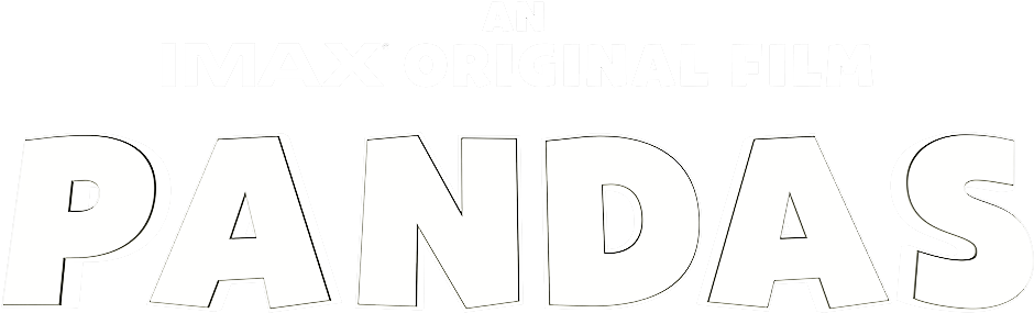 Chingo Bling Shirts (1000x370), Png Download