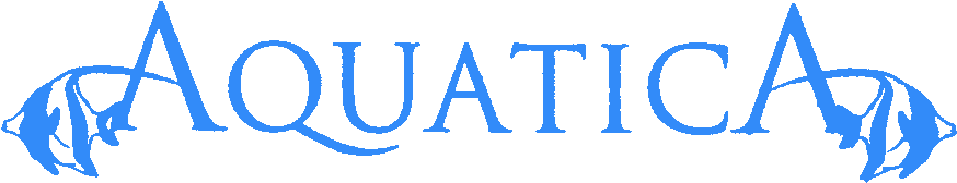 Home - Aquacity Poprad Logo (896x197), Png Download