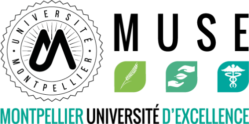 Muse - University Of Montpellier (500x250), Png Download