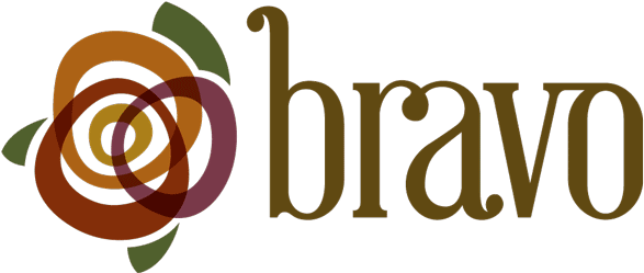 Bravologo Bravo Logo Png - Hero Image (600x250), Png Download