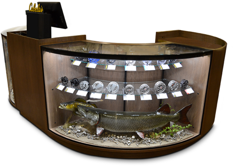 Cabela's (800x600), Png Download